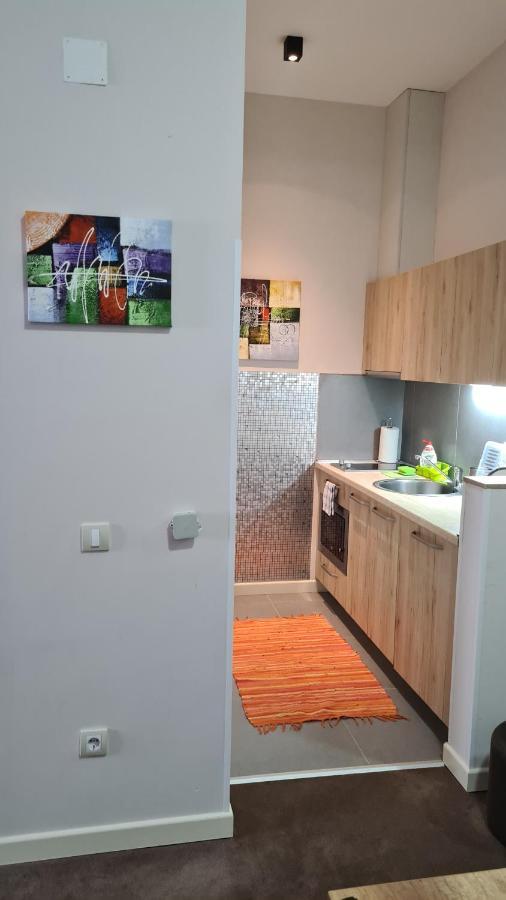 Apartman No1,Zupa Wellness & Spa Копаоник Экстерьер фото